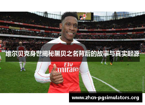 维尔贝克身世揭秘黑贝之名背后的故事与真实起源 维尔贝克身世揭秘黑贝之名背后的故事与真实起源